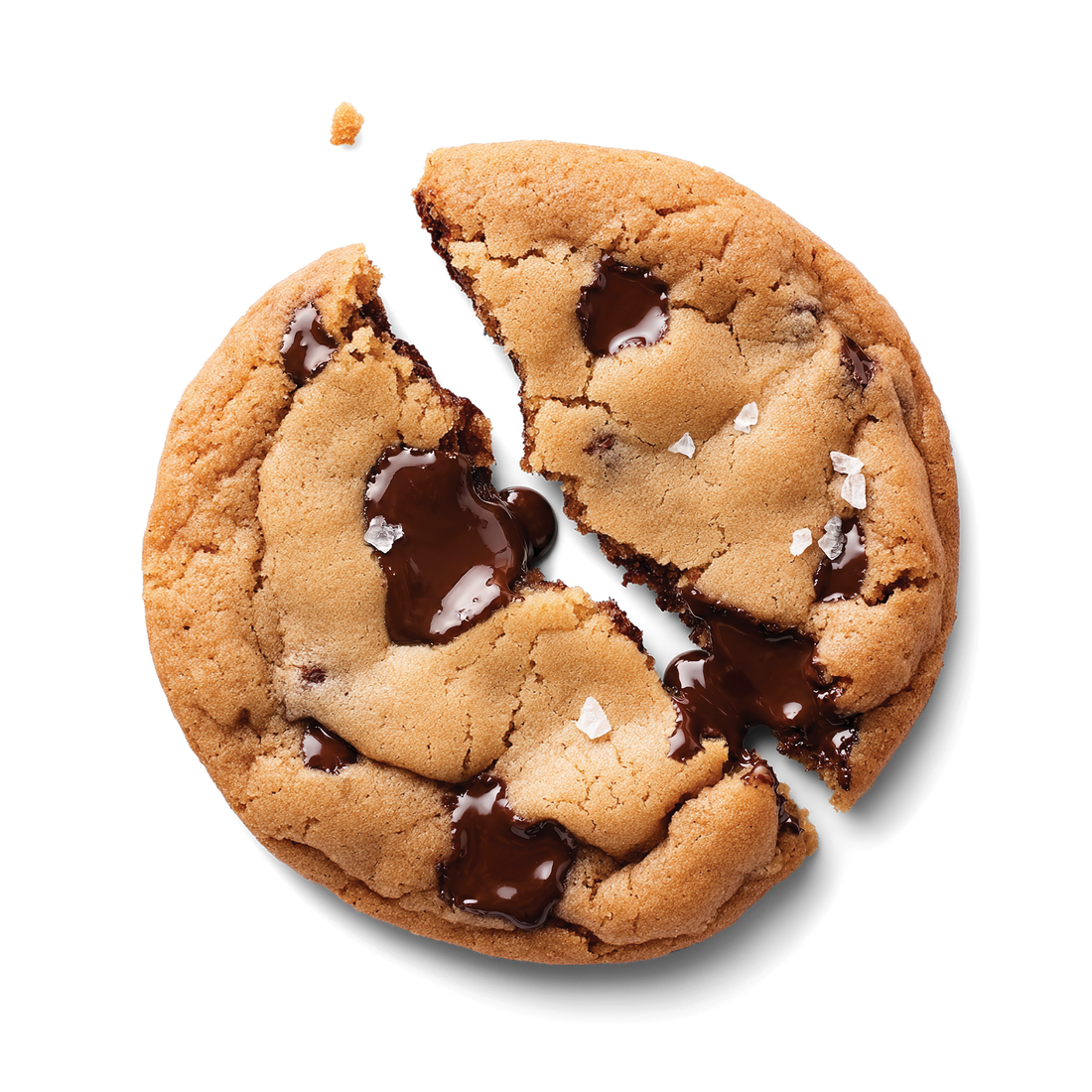 Chocolate Chip